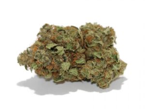 Buy Afghan Kush Strain Online – Fast Relaxation