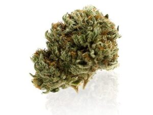Afghani Cannabis Strain: Buy Premium Weed Fast