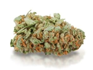 Master Kush Strain: Buy Premium Cannabis Fast