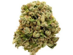Buy Pot of Gold Strain - Fast, Affordable Delivery