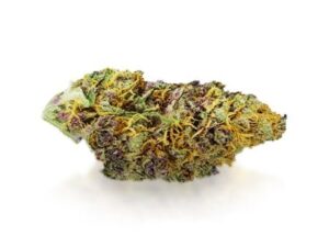 Buy Rainbow Kush Strain Online - Fast Delivery