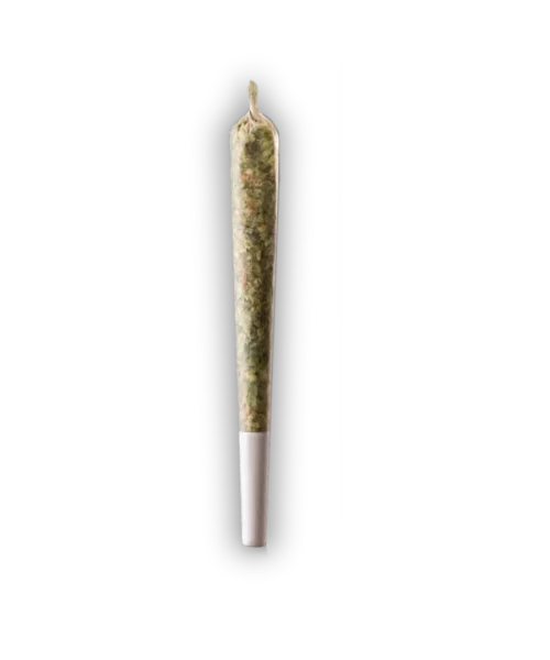 Buy THCa Preroll 1-Gram