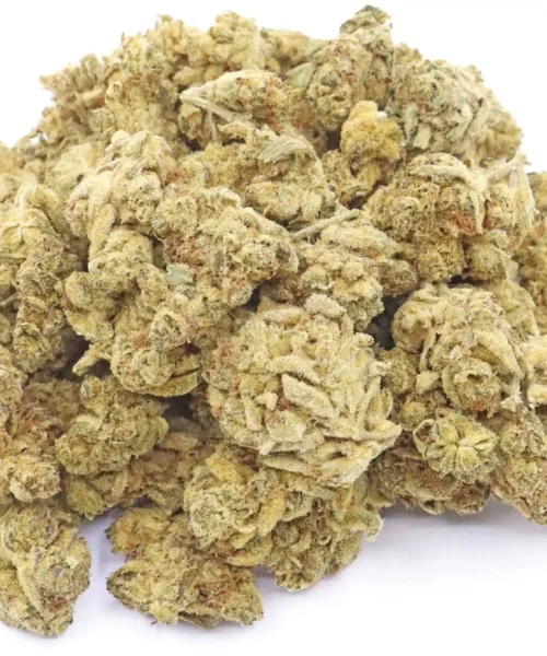 Glazed Apricot Gelato Strain