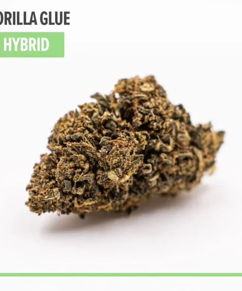 Gorilla Glue Delta 8 THC Weed Hybrid