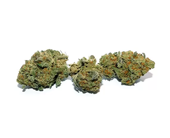 Gushers Indica Dominant Hybrid Strain