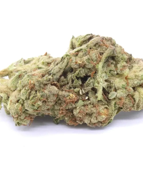 Pink Kush Marijuana Strain