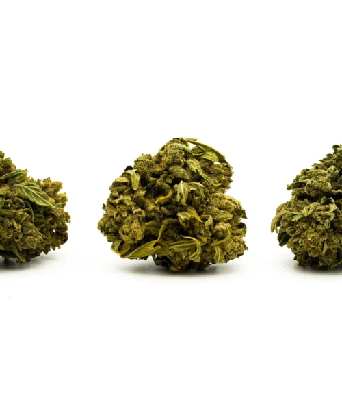 Pluto THCa Hemp Flower EU