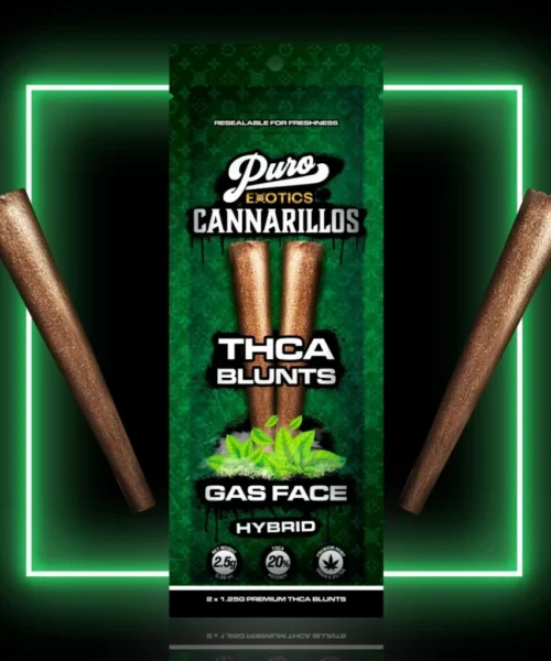 Puro Exotics Cannarillos THCA Pre Roll Blunts EU