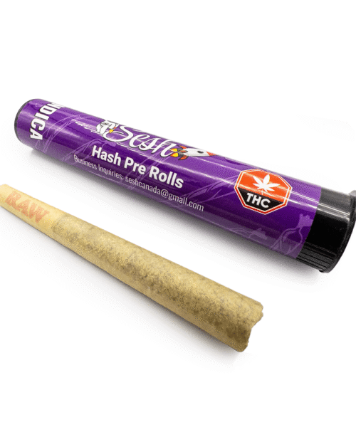 Sesh Marijuana Hash Joints – Indica