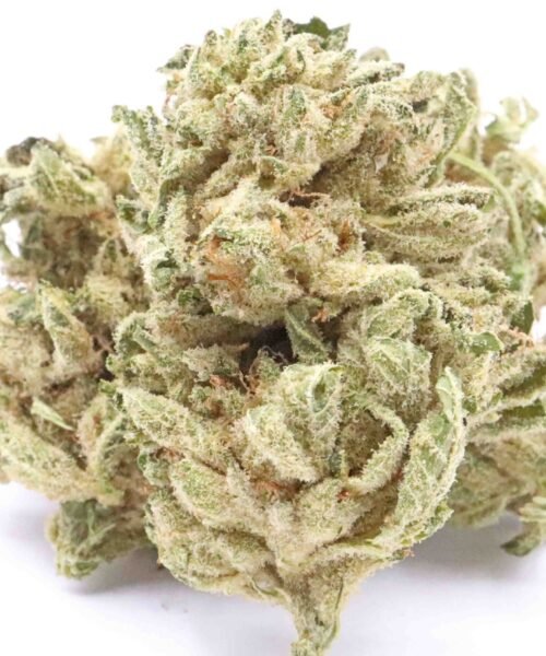 Sour Bubba Cannabis Strain