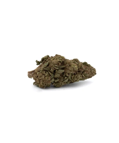 Thin Mint Cookies THCa Strain