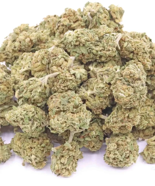 Treasure Island CBD Strain Flower – Sativa