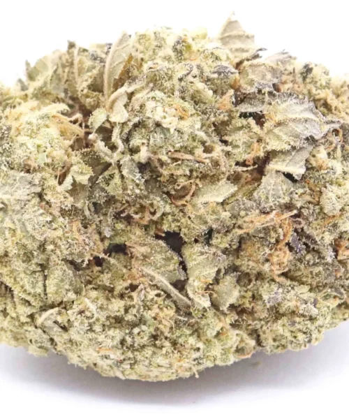 White Castle Weed Strain