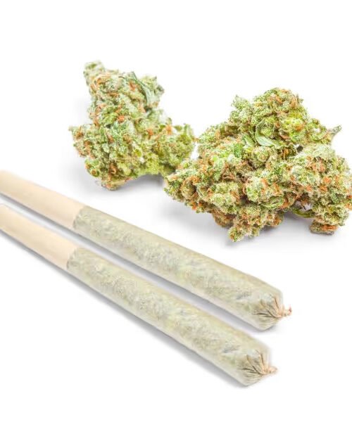Buy THCa Marijuana Prerolls